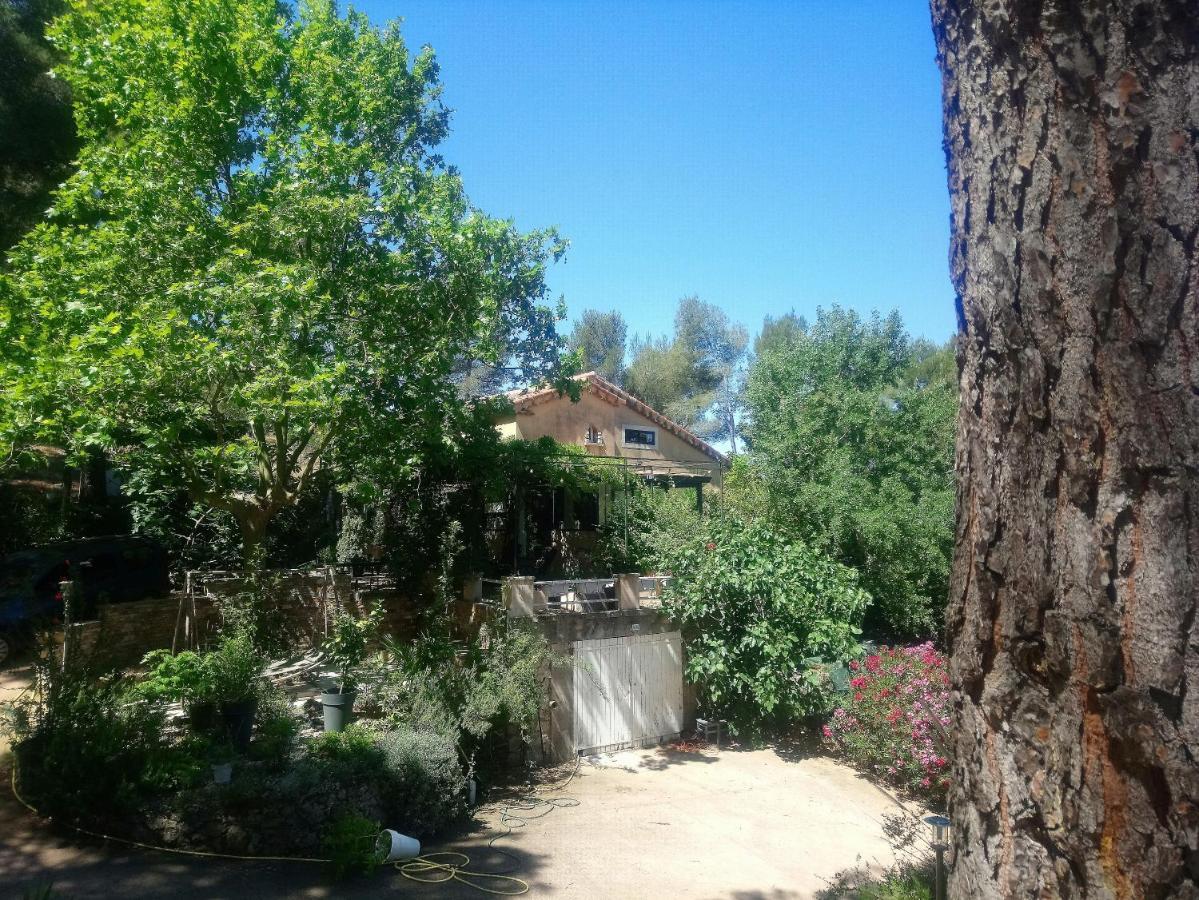 Maison De Charme Avec Piscine Et Jacuzzi Dans Cadre Exceptionnel Proche Marseille Mirabeau Eksteriør billede