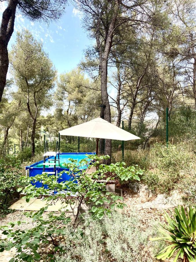 Maison De Charme Avec Piscine Et Jacuzzi Dans Cadre Exceptionnel Proche Marseille Mirabeau Eksteriør billede